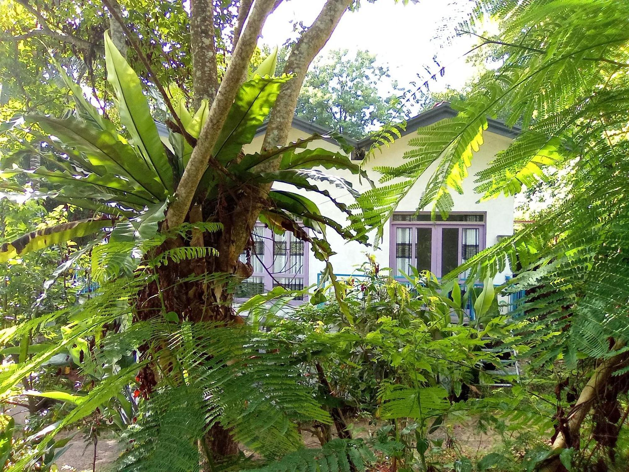 House 73 Hotel Unawatuna Eksteriør billede